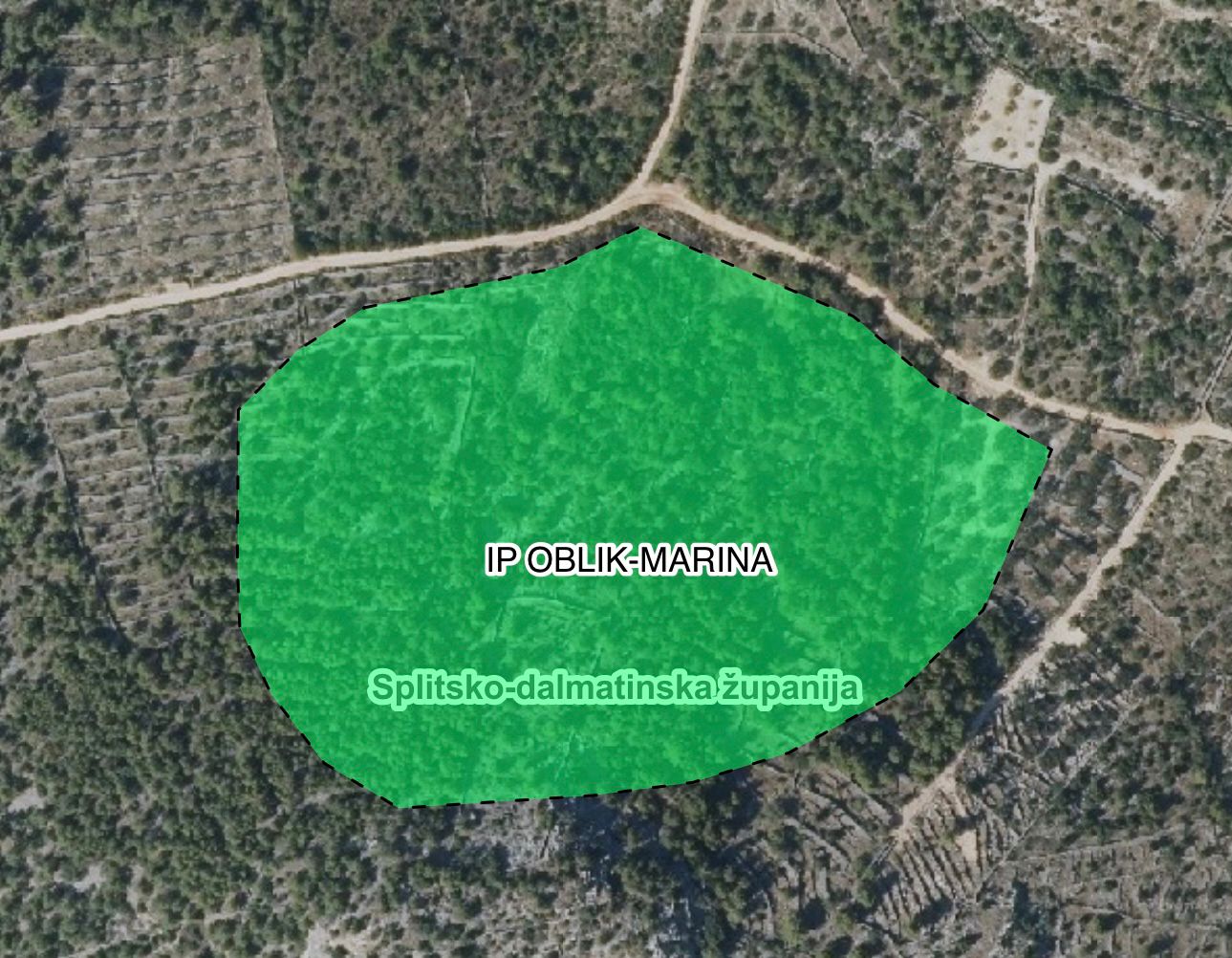 IP Oblik-Marina